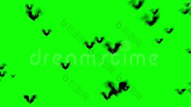 狂欢的万圣节扁平风格蝙蝠飞行在绿色背景。